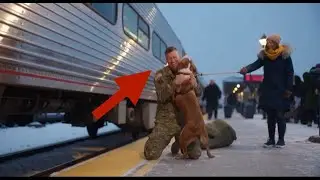 Emotional Moment When Dogs Reunites with Dads