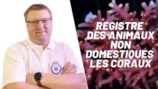 Mr Recif Captif registre d’animaux non domestiques les coraux.