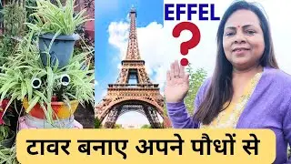  Vertical Gardening diy teachinques for  small space.🌱🔥
