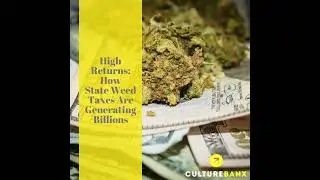 Legal Weed & Big Business: Black Entrepreneurs Enter the $70B Marijuana Market