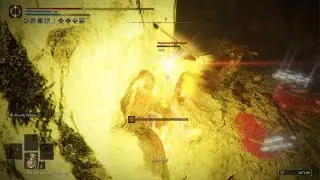 Curseblade cirque wall-hit parry??? (Please forgive me, merchant😔) | Elden Ring