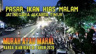 UPDATE  HARGA  IKAN HIAS  DI PASAR IKAN HIAS  JATINEGARA JAKARTA TIMUR