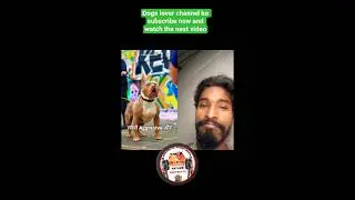 #pitbull #reels #trending #pets #reels #viral #facts #adventure #yt #science #nature #shorts #dog