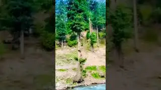Beauty of nature Kalam Pakistan #shorts#kalam #nature