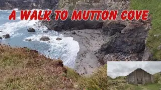 Walk from Hayle Towans to Mutton cove in the wind and rain with Mining history 🌧️