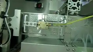 ELISA Automation.mp4