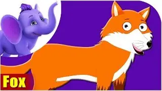 Fox - Animal Rhymes in Ultra HD (4K)