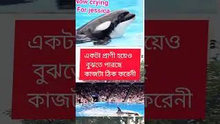 #shortsviral #subscribe #foryou #sad #sadsong #views #viralreels #videos #sujusreview #tindergold