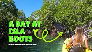@satiwest | THE BEST ISLANDER EXPERIENCE
