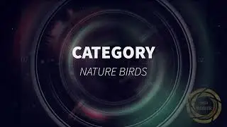 2024 N3TC Photo Competition