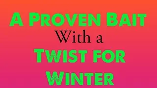 A Proven Bait with a Twist for Winter