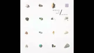 Marvin & Guy - Dancenergy