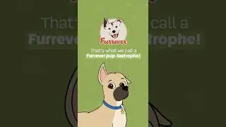 Puppy vs. Allergies: Sneezing Showdown! #dogs #animation #cute