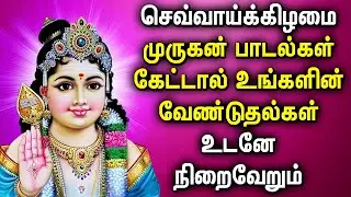 TUESDAY POPULAR MURUGAN PADALGAL || Best Murugan Tamil Bakthi Padalgal || முருகன் பக்தி பாடல்கள்