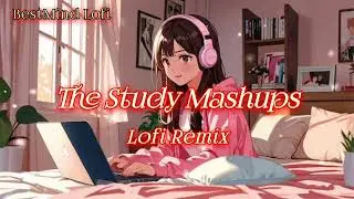 Study Time Lofi Remix 🌙 | Best Lofi Mashups 