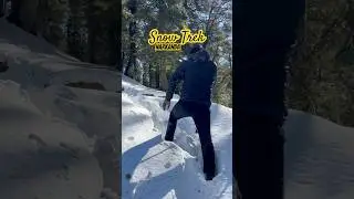 Snow Trek Narkanda Hatu Peak Day Snow Adventure Narkanda Himachal #himalayanscoutsindia #snowtrek