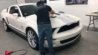 2007-2009 Mustang Shelby GT500 stripes