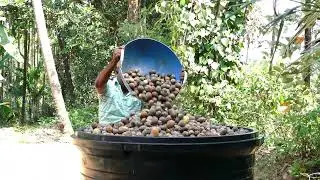 Arecanut Storage in our Sunrise Multi-Storage Tank