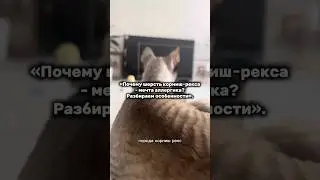 Арт масла на ВБ #WW276561 (копируй и вставляй с WW) 🍣