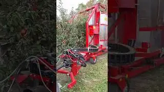 Industrial Apple Harvester FELIX Z || Made By Weremczuk AgroMachines Poland || #shorts #harvesting