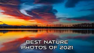 Best Nature Photos of 2021