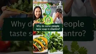 Why Cilantro Tastes Like SOAP to Some People 🧼🌿 #GeneticSecrets