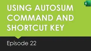 22 Using Autosum Command