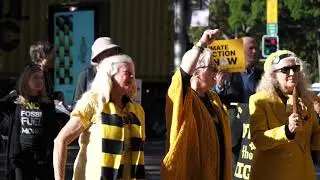 Knitting Nannas Constitutional Challenge