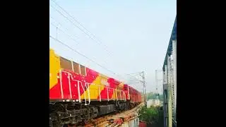 Wdg4g roza 49214