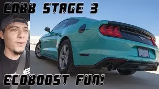 COBB tuned stage 3 mustang is too much fun | thoughts and pulls