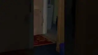 #stealthcat