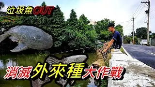 消滅外來種大作戰！滿滿的垃圾魚！雨天的邂逅～本該是魚種豐富的美麗溪流／池塘現在卻？不要輕忽你小小動作造成的影響！不要亂放生！！