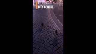 Duck&acute;s walk at Leipzig City Center : Lock-down