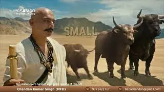 Samco Mutual Fund