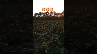 Najar hi najar mein yah Ho jaaye meri halat #village photo ☘️🌳☘️🌳