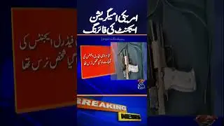 Federal Agents Fatally Shoot ICU Nurse - Breaking News - Geo News