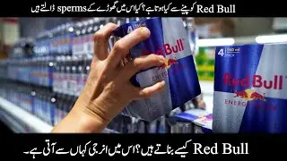 Red Bull The Energy Drink How It Makes In Factory In Urdu Hindi | How 