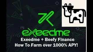How To Autofarm Exeedme on Beefy.Finance! 1000% APY!