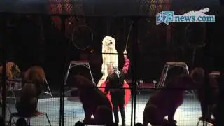 木下大サーカスが鹿児島市で開幕 2010年11月27日