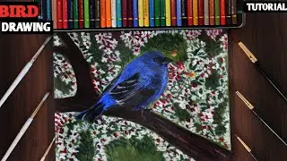 Realistic Bird Drawing Tutorial | Easy Drawing | Step by step