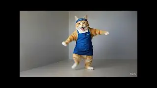 Orange Boss Dance Axe Gang Audition Dance