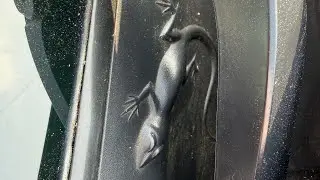Jeep compass have Easter eggs hidden 🐉🐉🦎🦎
