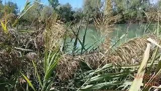 MASSIVE BAITS ITALIA (AUTUMN SESSION WHIT BOLSENA SQUID END COLD WATER)