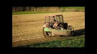Futter Raps Mähen 2013 mit International 833 und Deutz KM 24