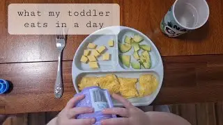 What my toddler eats in a day [2YO]