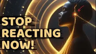 Stop Reacting, Start Rewiring: How to Break Reality Loops | Vibration Sync