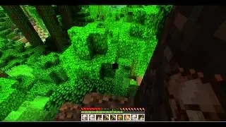 Beanman25 plays Minecraft #2