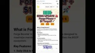 🔥 BNSG Update: Forge Power + WBNSG Rules! $1 Incoming?