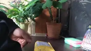 Чехол для IPhone 5s, power bank