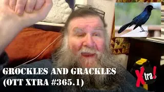 ГРОКЛС И ГРОКЛС (OTT Xtra #365.1)